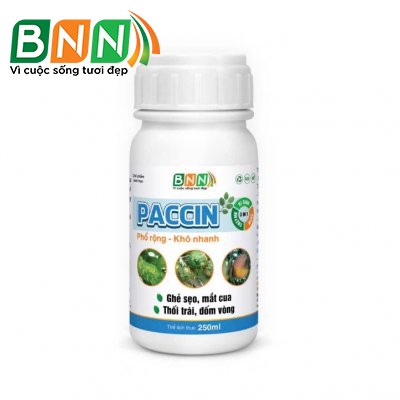 Chế phẩm sinh học Paccin
