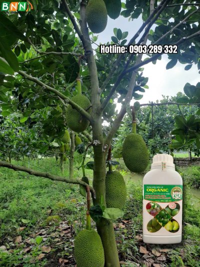 Chế phẩm sinh học 12