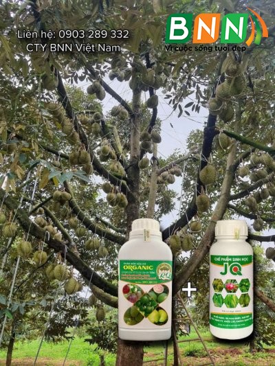 Chế phẩm sinh học 04