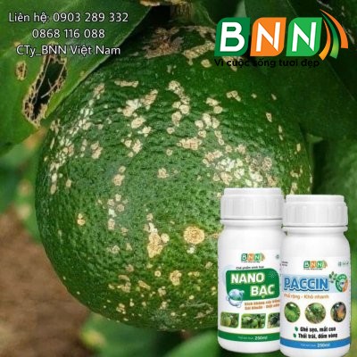 Chế phẩm sinh học 06