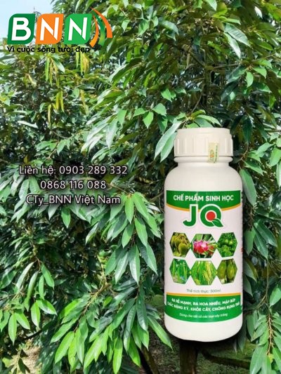 Chế phẩm sinh học 14