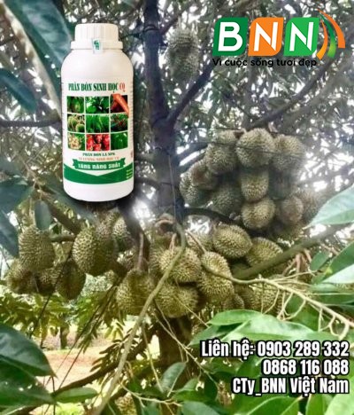 Chế phẩm sinh học 15