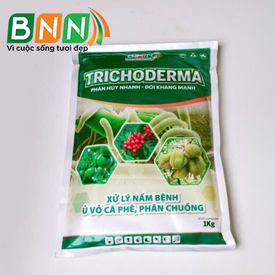 Trichoderma xử lý nấm bệnh ủ vỏ cà phê, phân chuồng