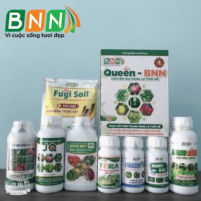 Chế phẩm sinh học - phân bón