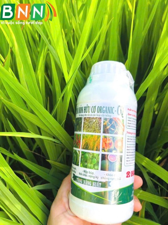 SẢN PHẨM ORGANIC _ CQ