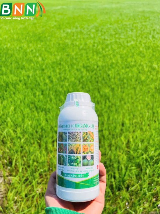 SẢN PHẨM ORGANIC _ CQ
